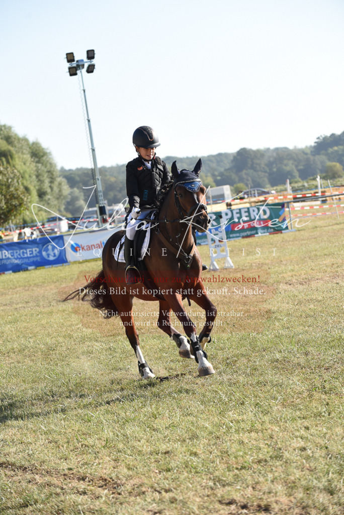 DSC_5605 | Pferde- und Turnierfotografie in Westsachsen. Pferdeportraits, Auftragszeichnungen und intuitive Kunst.