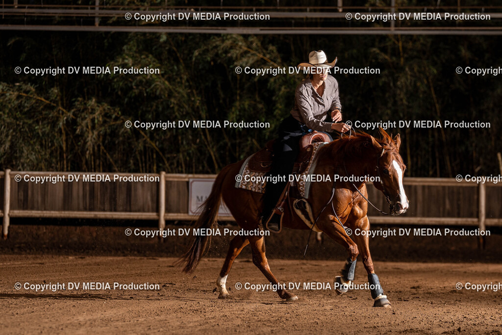 Erbach Tag 1-1343 | dv-media-shop - Realisiert mit Pictrs.com