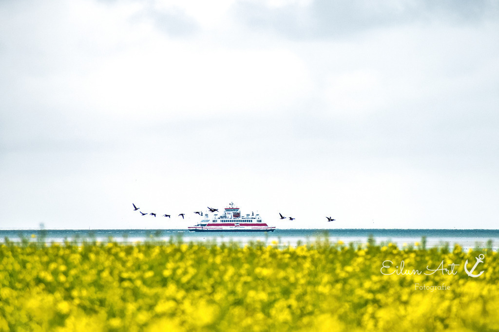 20190510-B 12 | Eilun-Art-Fotografie Levke Martens, ihre Fotografin für Immobilien- und Landschaftsfotografie auf Föhr, Föhrer Motive als Poster, Leinwand, hinter Acrylglas oder stelle dir deinen eigenen Monatskalender zusammen, mit nur einem Klick