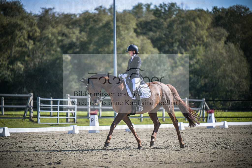 DOS_2880 | Entdecke hochwertige Reitturnierfotos von Foto Oger. Professionell, emotional und authentisch – jetzt Lieblingsmomente im Shop bestellen.Deutschlandweite Turnierfotografie. - Realisiert mit Pictrs.com