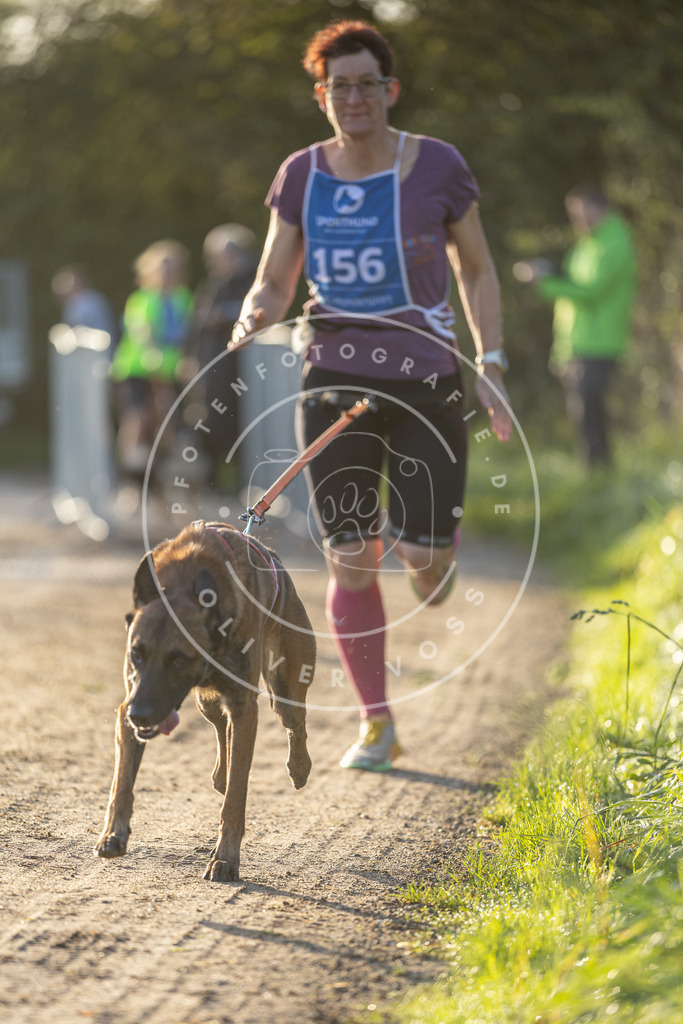 Pfotenfotografie.de_DV3A2615 | Hundefotografie, Tierfotograf, Pfotenfotografie, Fotoshooting Hund, Hunde Portrait, Hundesport, Hundeportraits, Heideshooting, Hunde, Sportfotograf, Hundefotograf, Turnierhundsport, THS, canicross - Realisiert mit Pictrs.com