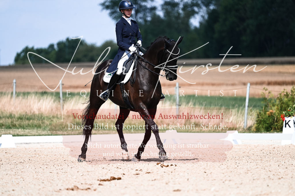 DSC_3134 | Pferde- und Turnierfotografie in Westsachsen. Pferdeportraits, Auftragszeichnungen und intuitive Kunst.