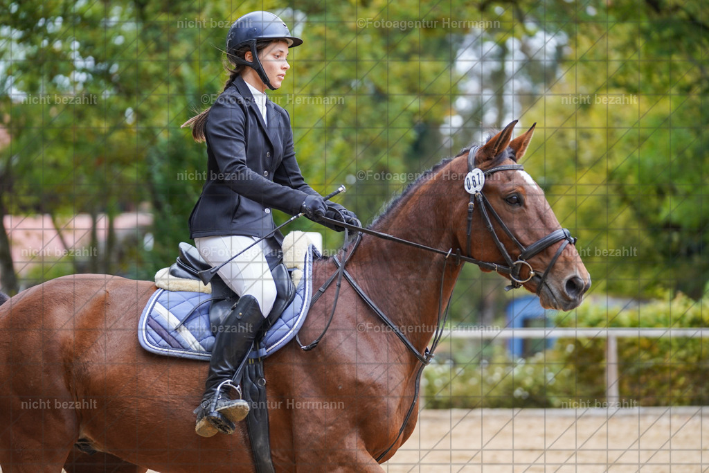20221009-FAH08883 | Diessen am Ammersee, 2022, Dressur- und Springturnier, Reitsportbilder, Turnierfotografen Bayern, Pferdefotografen, Fotoagentur Herrmann, Turnierbilder