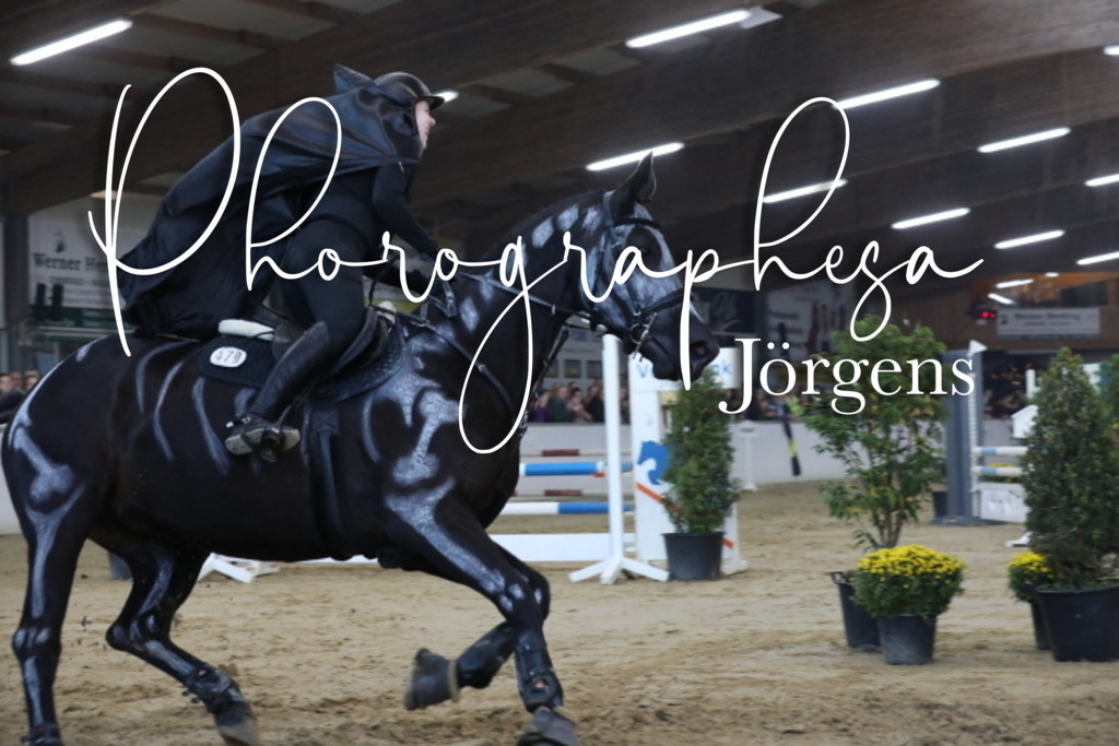 IMG_1837 | photographesa-joergens - Realisiert mit Pictrs.com