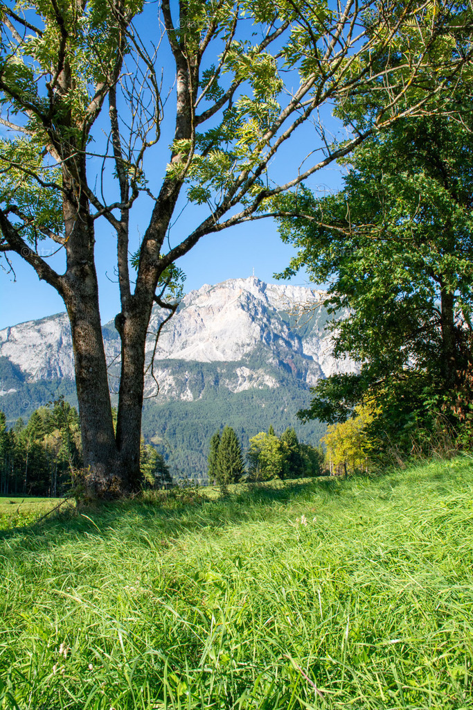 Dobr Panorama 2025 (Hohenthurn)_164903__fatzi | Fatzi Bilder-Archiv! 
Die Bilder sind für private Nutzung lizenzfrei. Die kommerzielle Nutzung ist möglich und erwünscht, jedoch bitte ich um vorherige Kontaktaufnahme per E-Mail (info@fatzi.at) oder unter +43 650 7828269 - Realisiert mit Pictrs.com
