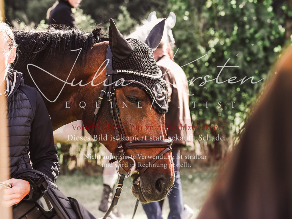 DSC_6513 | Pferde- und Turnierfotografie in Westsachsen. Pferdeportraits, Auftragszeichnungen und intuitive Kunst.