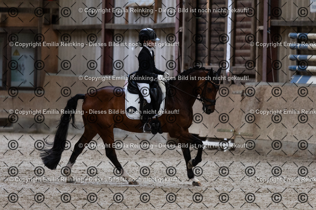 CL5A5028 | Emilia Reinking Fotografie - Realisiert mit Pictrs.com