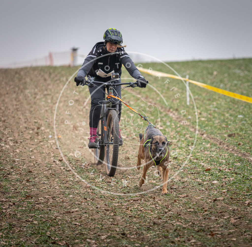 Pfotenfotografie_DV3A1537 | Hundefotografie, Tierfotograf, Pfotenfotografie, Fotoshooting Hund, Hunde Portrait, Hundesport, Hundeportraits, Heideshooting, Hunde, Sportfotograf, Hundefotograf, Turnierhundsport, THS,  - Realisiert mit Pictrs.com