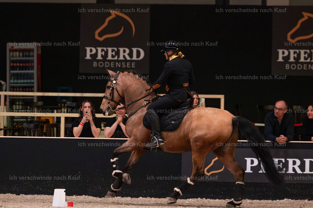 JoseraCup-202 | working equitationturnier fotograf videograf stoibphotography marixx film working equitation deutschland reitsport turnierfotografie eventfotografie equestrian events