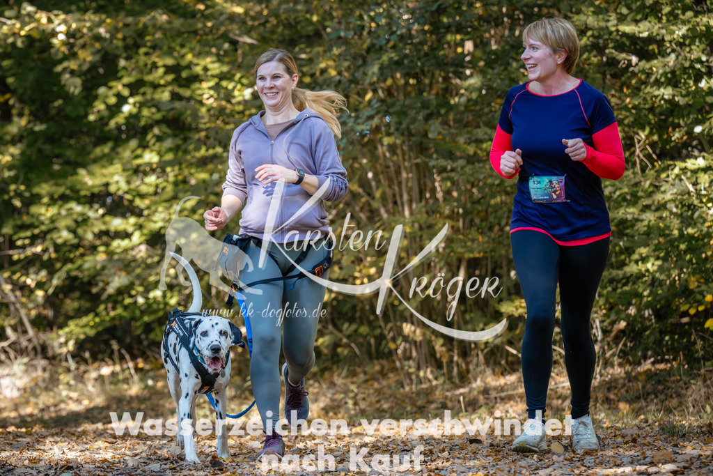 1213_ZZ94539 | kk-dogfotos