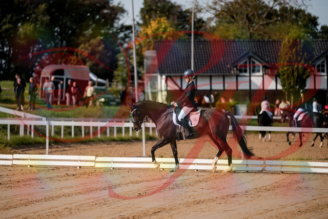 2026_10_03_Siefer-Hof_113244_Z63_19044160 | Professionelle Reitsport-, Turnier- und Eventfotografie von Robert Broda. Galerien mit ausgewählten und bearbeiteten Bildern direkt online ansehen und bestellen.