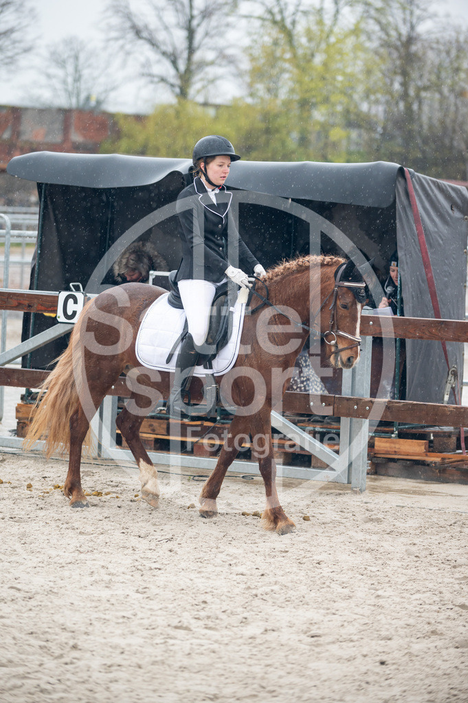 DSC_7066 | sattelsport - Realisiert mit Pictrs.com