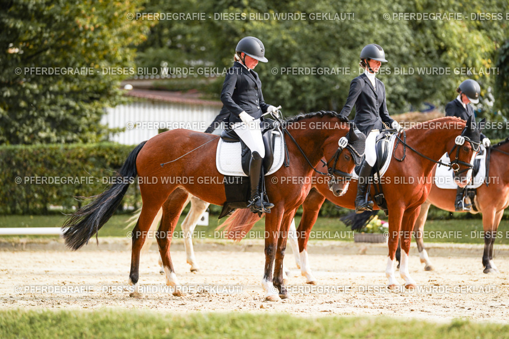 DSC04711 | Pferdegrafie