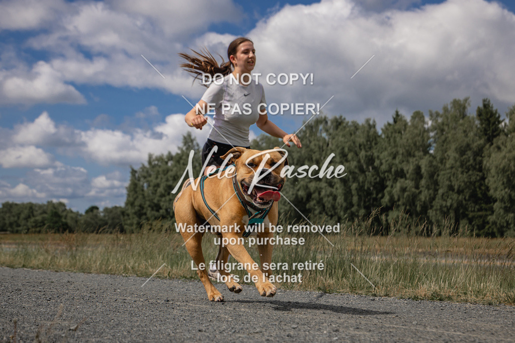 nelerasche_BuHu2026_SaCC1100-1200_19 | nelerasche