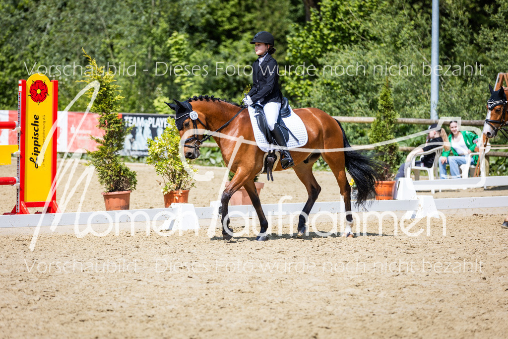 Donop24-RWB-003 | MomenTaufnahmen Pferdesportfotos