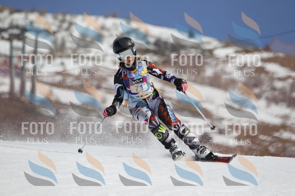 _U3G9833 | holidayphoto