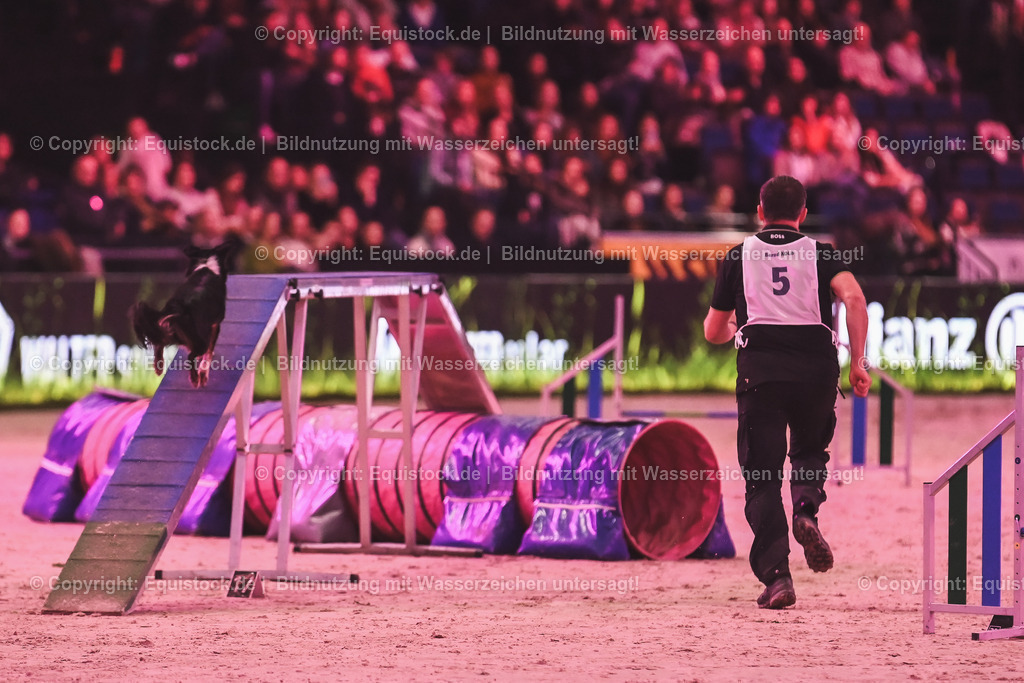 20241113_Showabend_TOMsPiC_0409 | Foto: Thomas Hartig