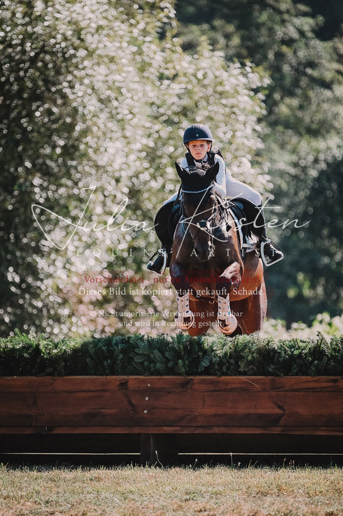 DSC_8015 | Pferde- und Turnierfotografie in Westsachsen. Pferdeportraits, Auftragszeichnungen und intuitive Kunst.