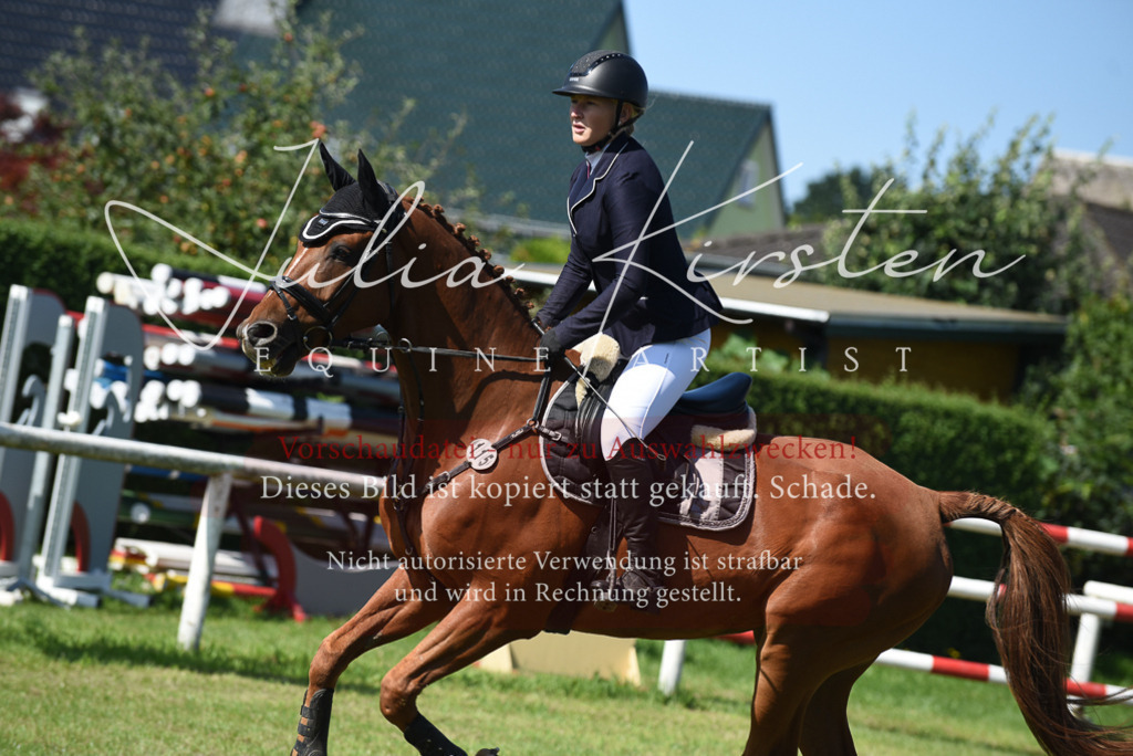 DSC_9211 | Pferde- und Turnierfotografie in Westsachsen. Pferdeportraits, Auftragszeichnungen und intuitive Kunst.