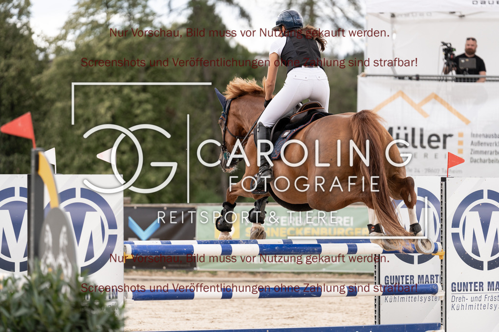 DSC06540 | Springturnier_Teamchallege_Talheim_2026, Alina_Rieker, Diamonique_Z
