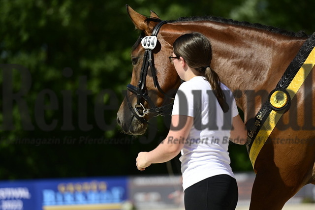 FRK_2022-07-03 15-27-27 | Alle Fotos der Reiterjournal Fotografin Doris Matthaes im Reiterjournal Online-Fotoshop. - Realisiert mit Pictrs.com