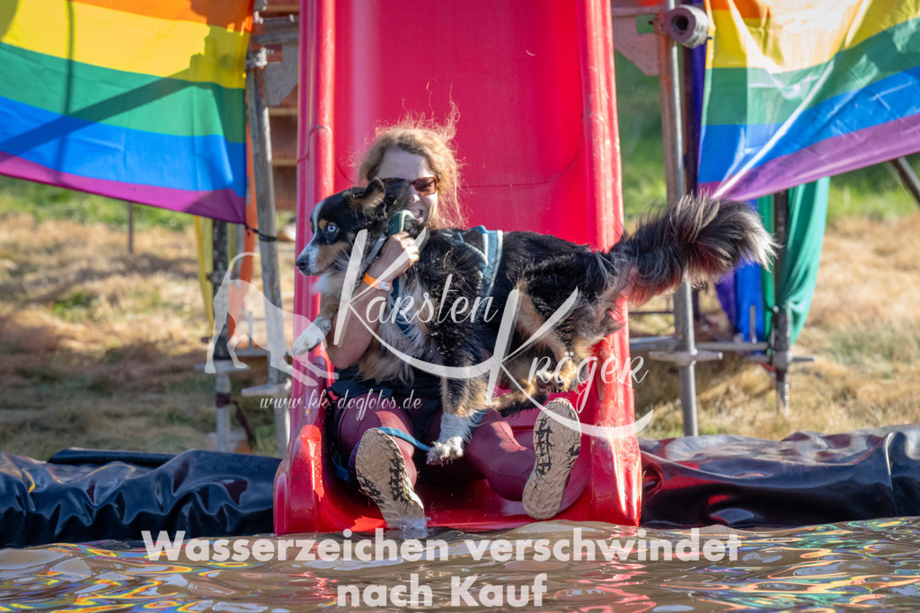 1715_ZZ94195 | kk-dogfotos