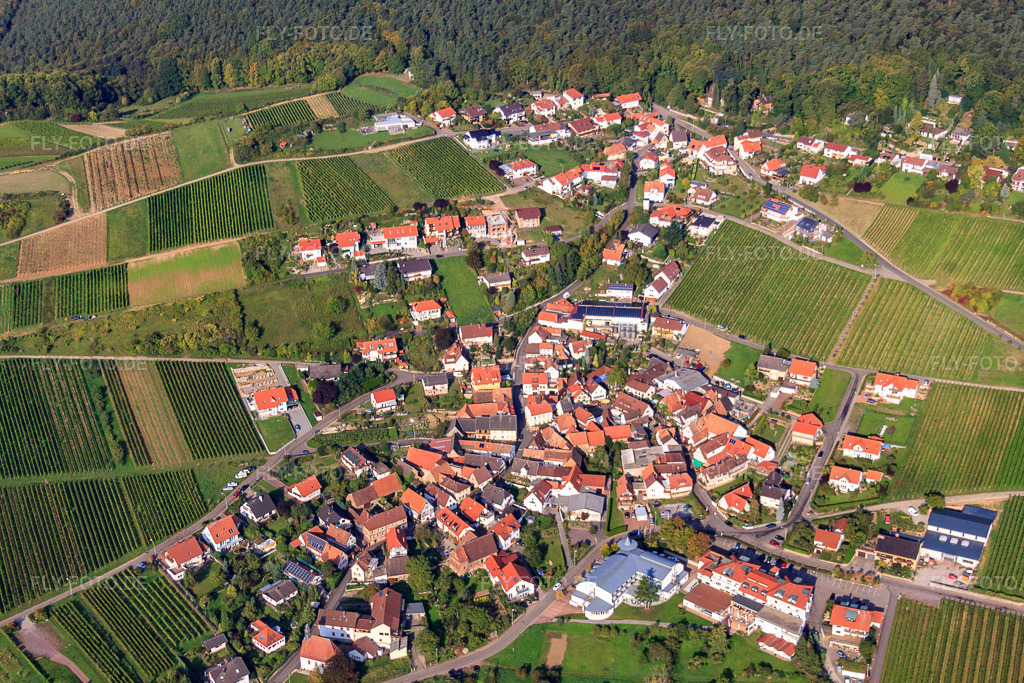 Luftbild: Winzerdorf am Haardtrand von Osten im Ortsteil Gleiszellen in Gleiszellen-Gleishorbach im Bundesland Rheinland-Pfalz in Deutschland. Foto: IMG_45419.jpg vom 24.09.2011 durch Werner Riehm/FLY-FOTO.deAuflösung des Originals: 4078 x 2719 px