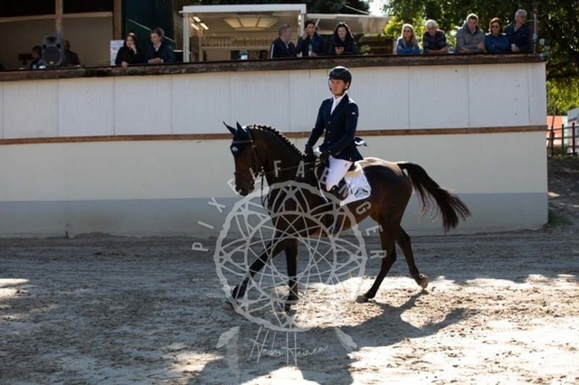 2B4A0625 | pixelfaenger - Realisiert mit Pictrs.com