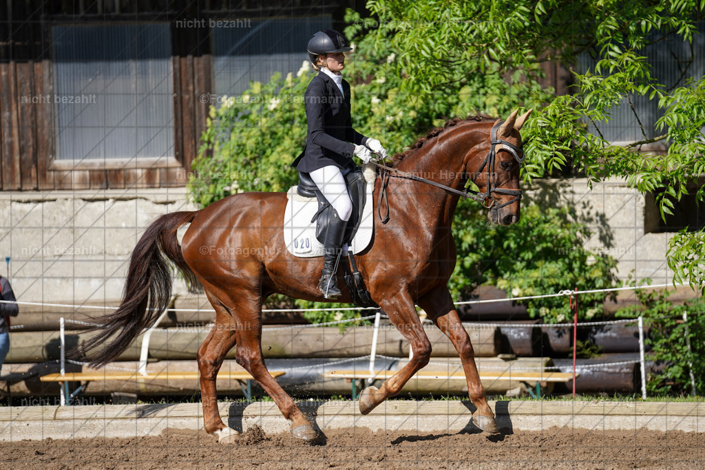 20240519-FAH04601 | Turnierbilder Niederseeon 2024, Vielseitigkeitsdressur, Reitsportbilder aus dem Landkreit Ebersberg, Gut Steinsee, RC Steinsee, Fotoagentur Herrmann