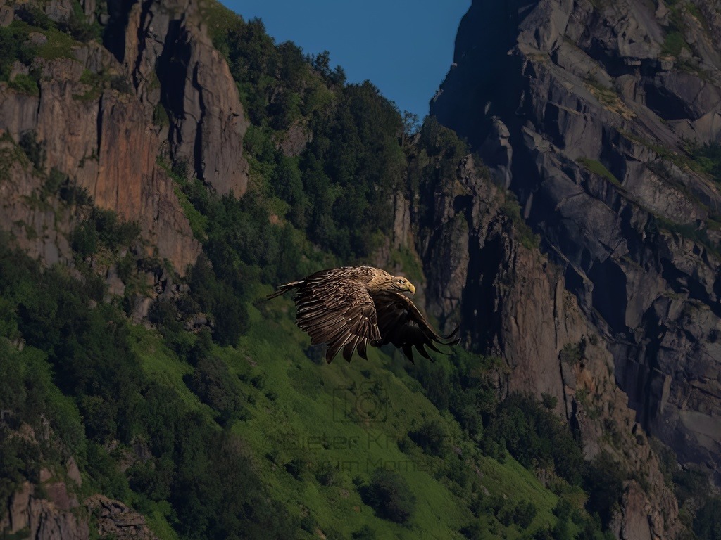 P1001690-LR-topaz-denoise-enhance-sharpen | Natur im Moment - Realisiert mit Pictrs.com