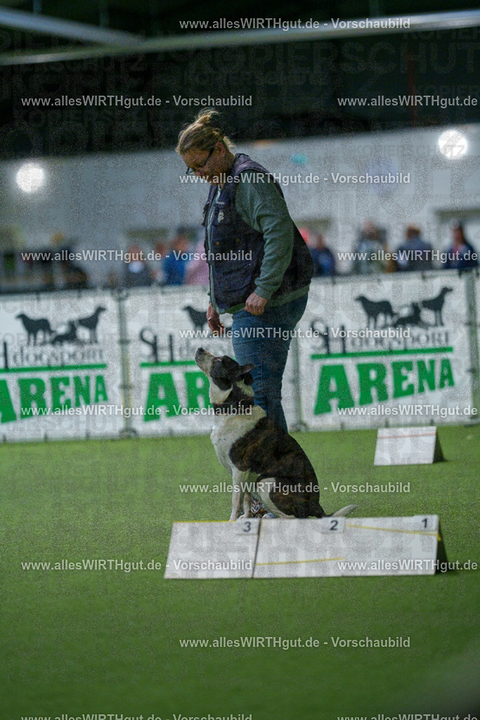 7R509791 | Professionelle Tierfotografie in Mönchengladbach von Daniel Wirth (allesWIRTHgut). Liebevolle & natürliche Bilder von Hunden & Katzen für unvergessliche Erinnerungen.