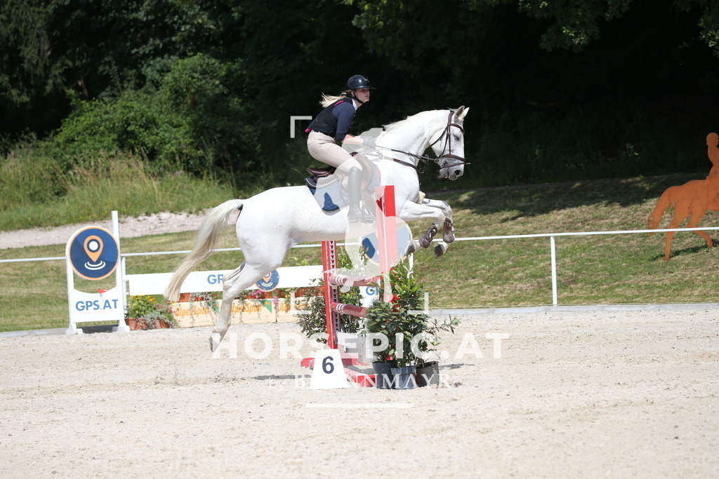 DL2Q1650 | Willkommen bei Brunnmayr - Design & Fotografie – Ihrem Spezialisten für Reitturniere und Pferdeveranstaltungen in Oberösterreich, Salzburg und Bayern! Seit über 17 Jahren sind wir leidenschaftlich dabei.