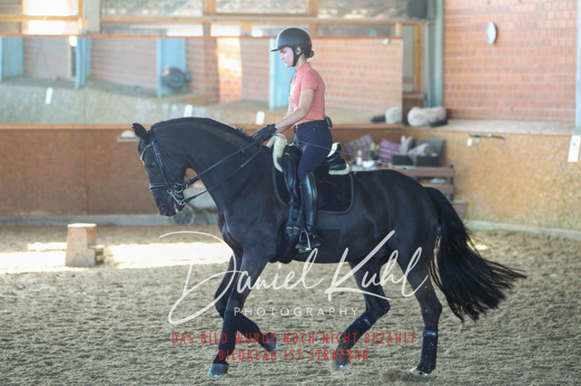 DKP42296 | Turniersportfotografie; Pferdefotografie; Dressurfotografie