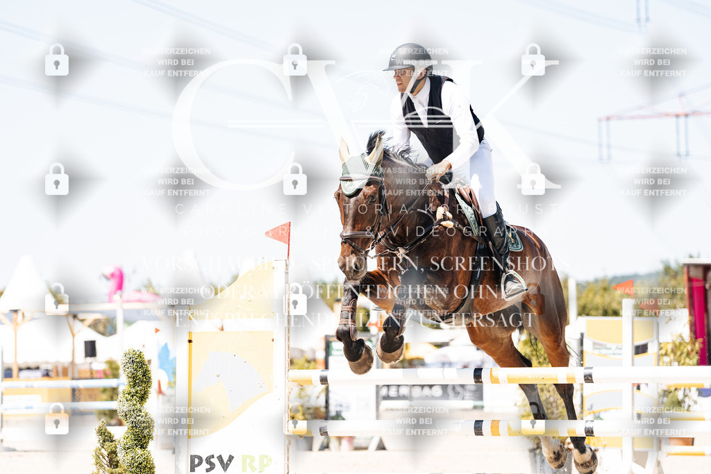 CK900026 | Turnierfotografie Pferdefotografie Trier Rheinland-Pfalz Pferdesport Reitsport Tierfotografie Sportfotografie Pferdevideo Pferdevideografie Equestrianvideography equestrianphotography  - Realisiert mit Pictrs.com