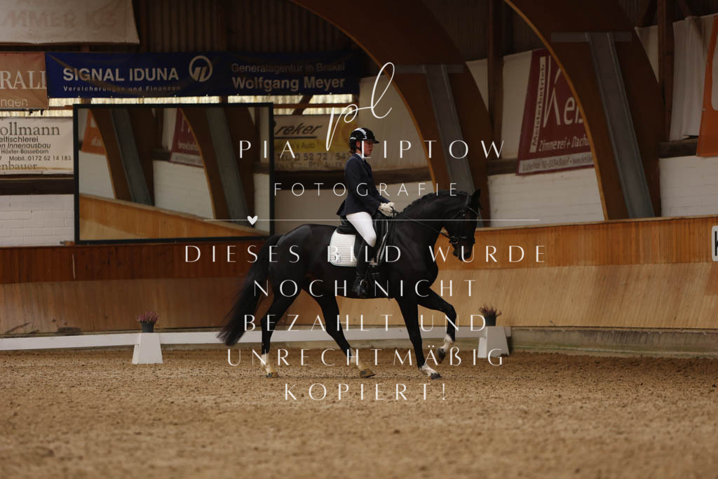 IMGM5204 | pl-fotografie