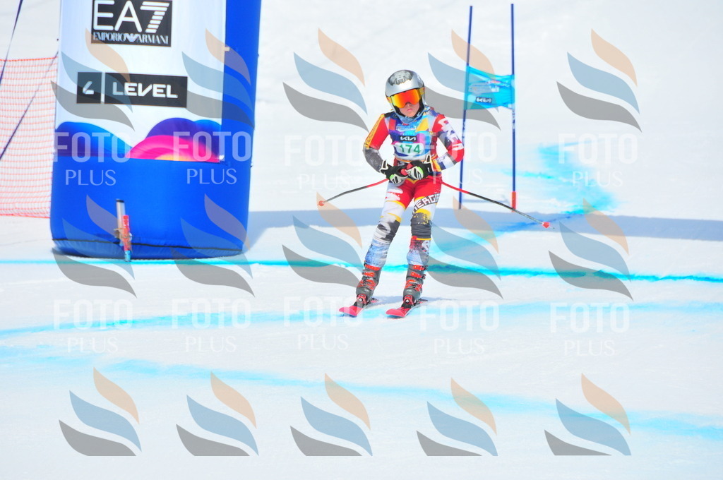 DSC_1580 | holidayphoto