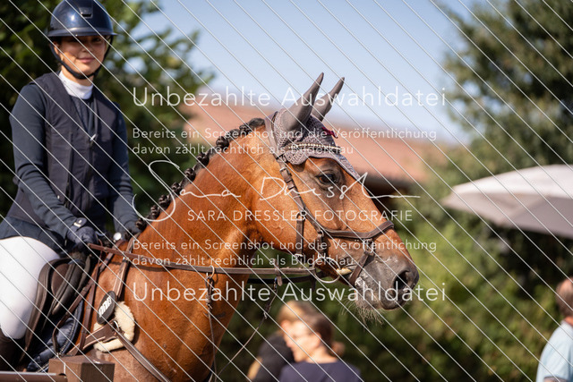LR263_SD_07336 | saradresslerfotografie - Realisiert mit Pictrs.com