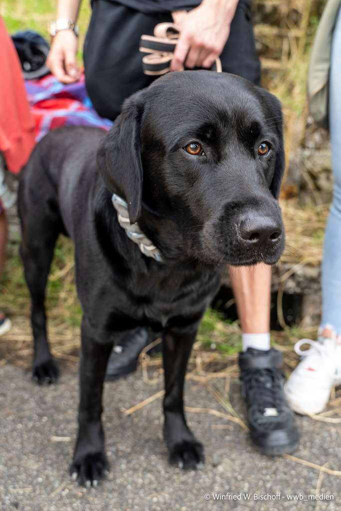 _DSC1539 | <Fotografie> <Video> <Film> <Winfried Bischoff> - Realisiert mit Pictrs.com