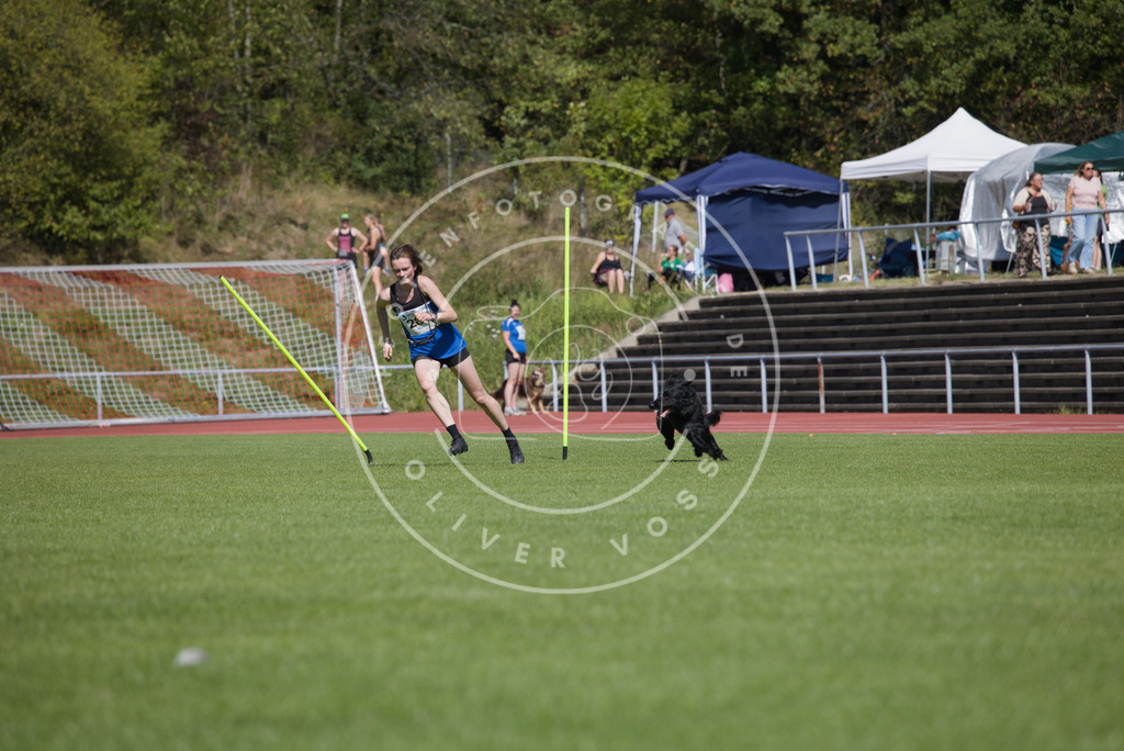 0L8A6823 | Hundefotografie, Tierfotograf, Pfotenfotografie, Fotoshooting Hund, Hunde Portrait, Hundesport, Hundeportraits, Heideshooting, Hunde, Sportfotograf, Hundefotograf, Turnierhundsport, THS,  - Realisiert mit Pictrs.com