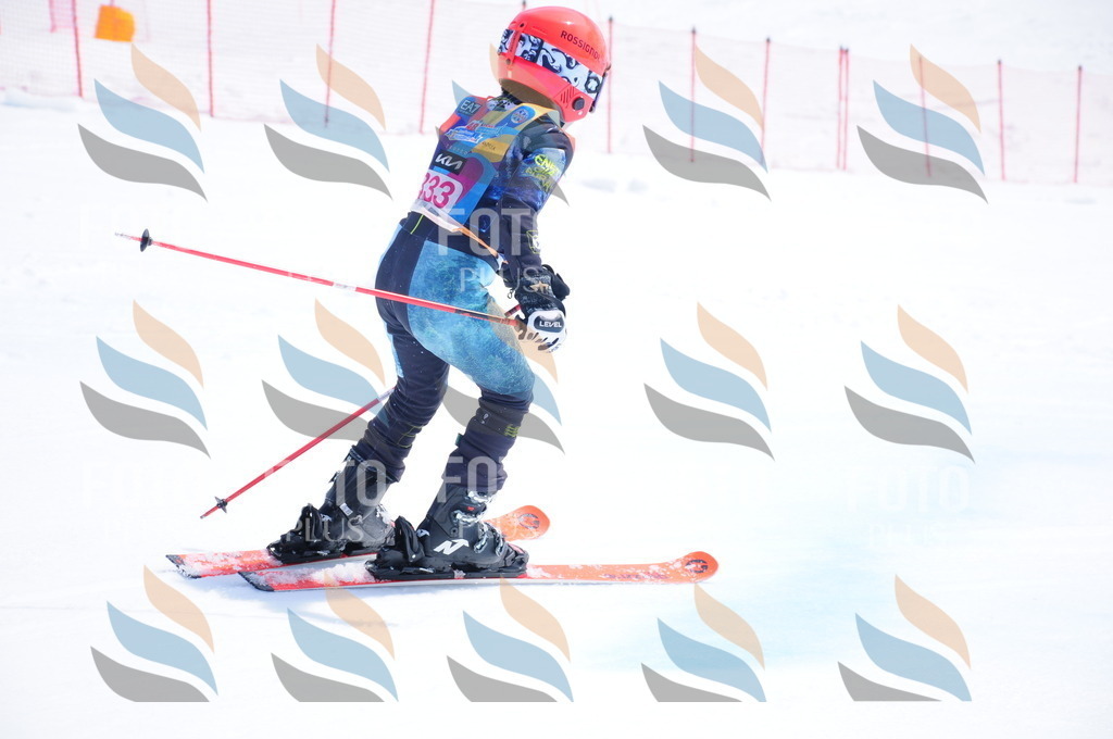 DSC_6970 | holidayphoto