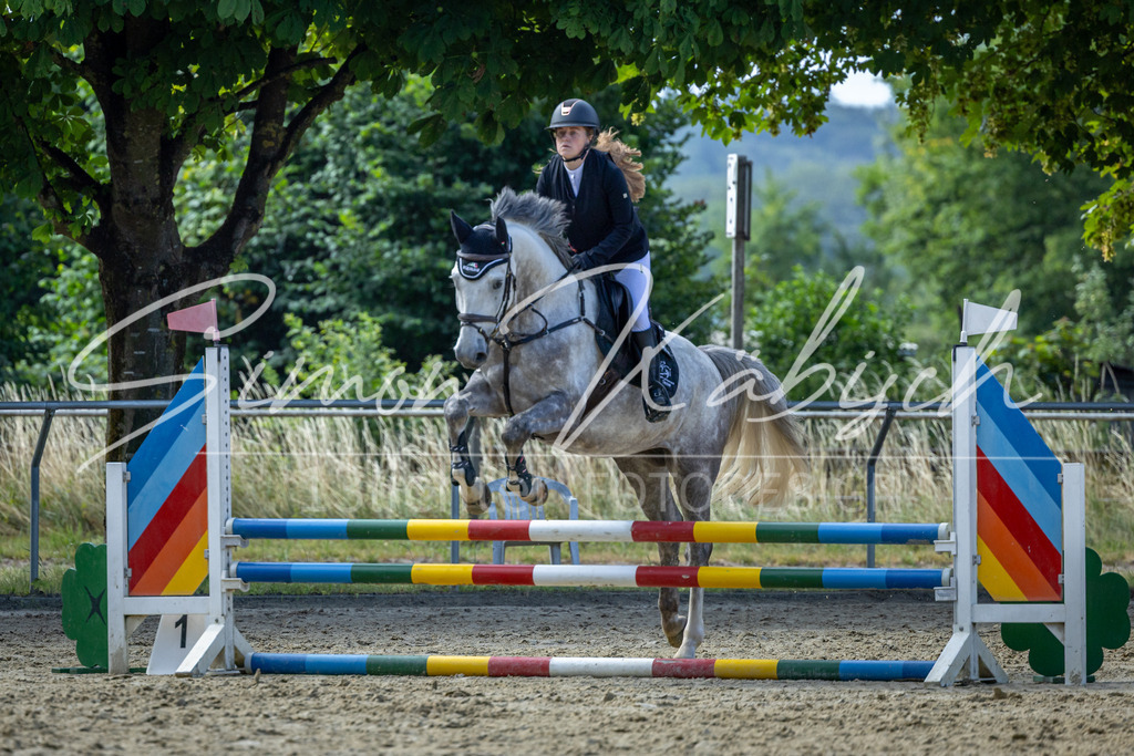 20260704-_3LI7081 | Tierfotografie Pferde, Hunde, Katzen, Haustiere.
Turnierfotografie Reitturniere, Reiten, Springreiten, Dressur in Hanau, dem Main-Kinzig-Kreis und dem Rhein-Main- Gebiet um Frankfurt