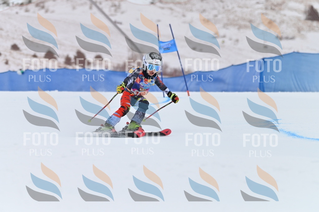 BGV_0114 | holidayphoto