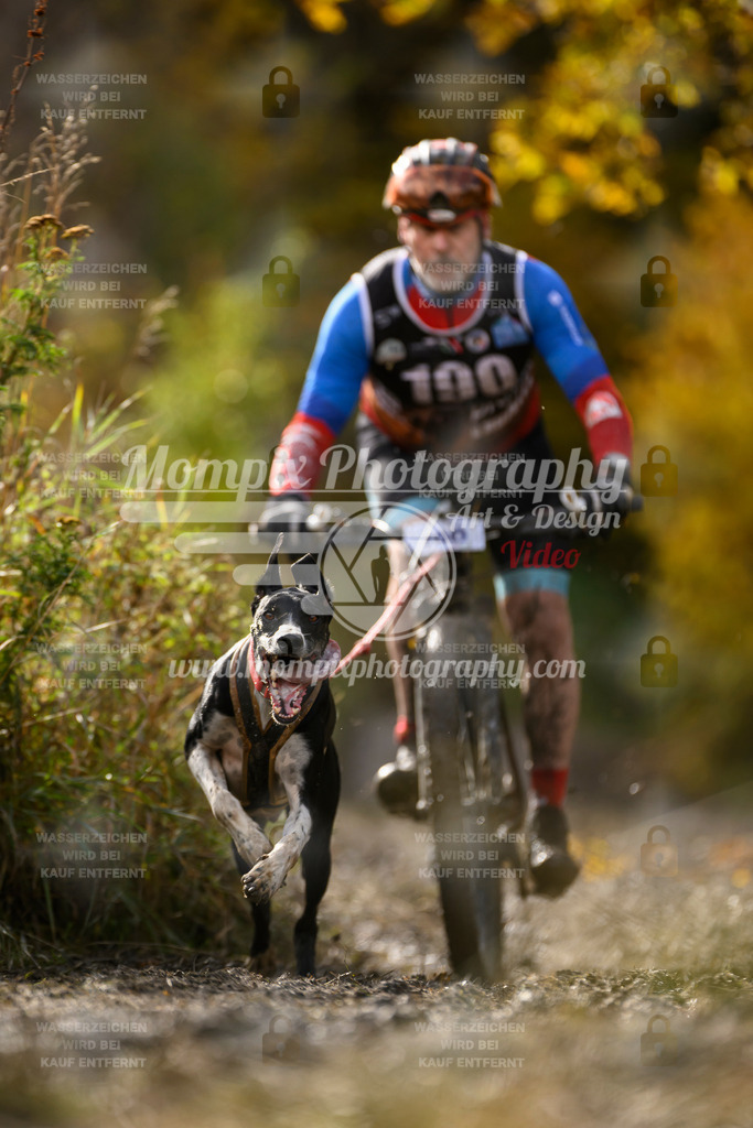MompixPhotography_ICF_WC_2024_SA_Bike_-302 | PayLife
