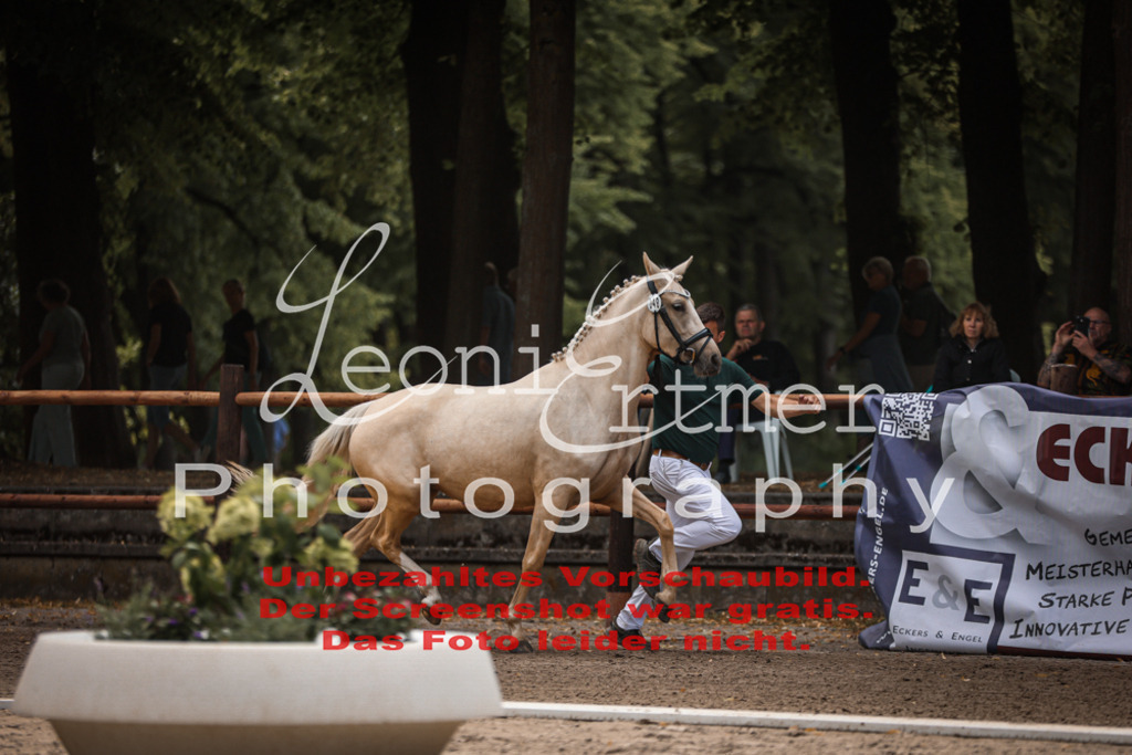 8.So00077 | Leoni Ertmer Photography - Realisiert mit Pictrs.com