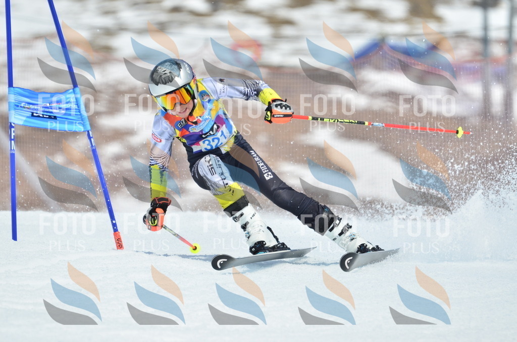 _ELE2471 | holidayphoto