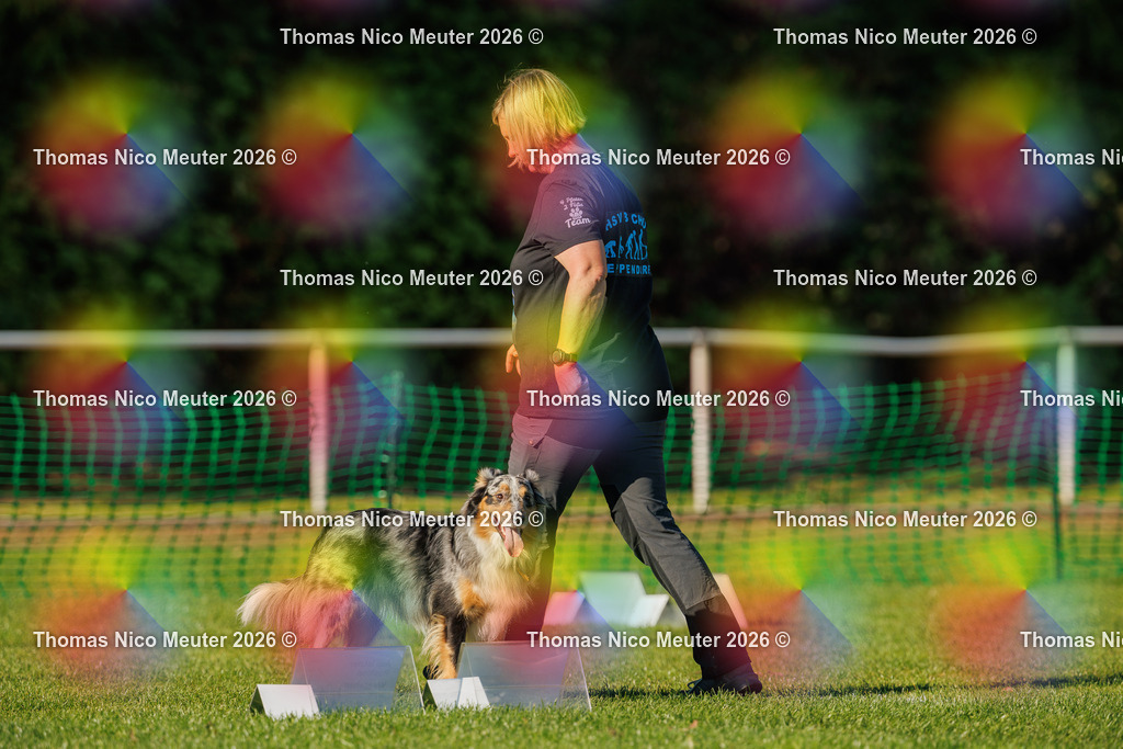Thomas_Nico_Meuter(C)_04. Oktober 2026_223A3933 | Bild von Thomas Nico Meuter - Realisiert mit Pictrs.com