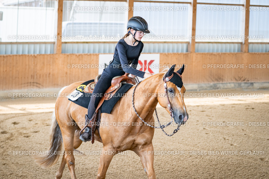 DSC04448 | Pferdegrafie