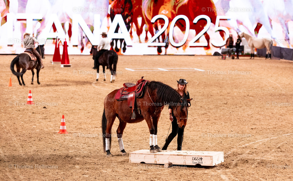 TH_Pro Horse Union_26467 | EQUITANA 2025 am 06.03.25 in Essen