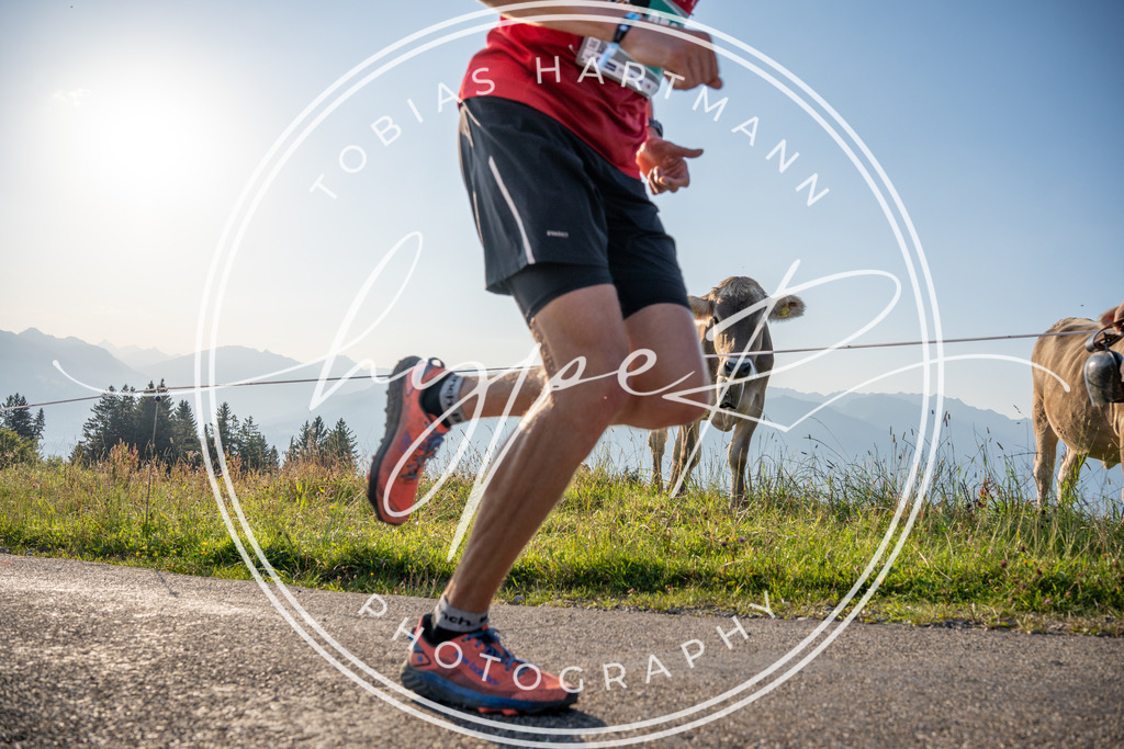 THA04954 | Hier findet ihr Bildergalerien & Fotos von Sportveranstaltungen & Events im Allgäu und Umgebung. 