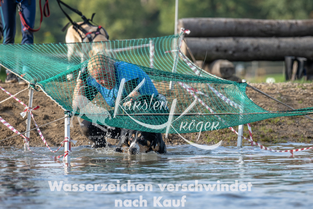 1101_ZZ90960 | kk-dogfotos